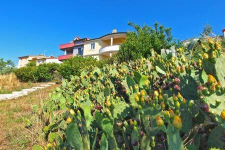 Villa Lucija Pula Exteriér fotografie